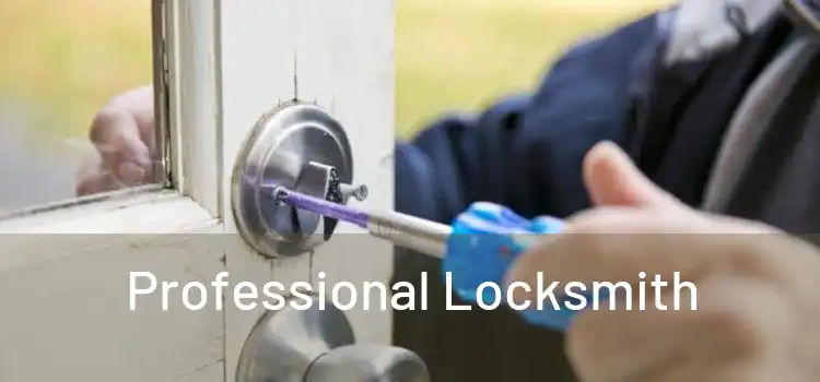  Professional Locksmith 
